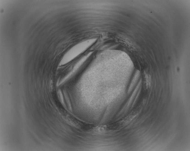 X0000068830080200605261626