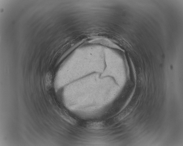 X0000068830081200605261626