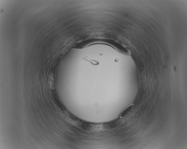 X0000068830083200605261626