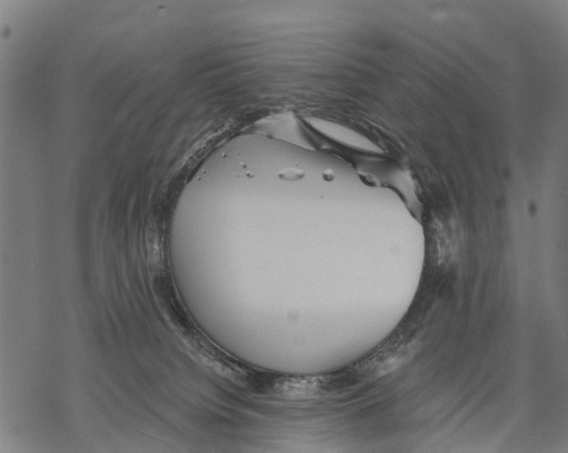 X0000068830084200605261626