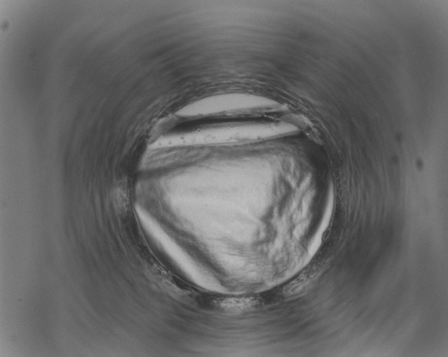 X0000068830085200605261626