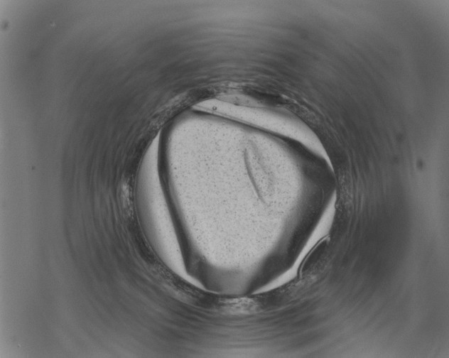 X0000068830087200605261626