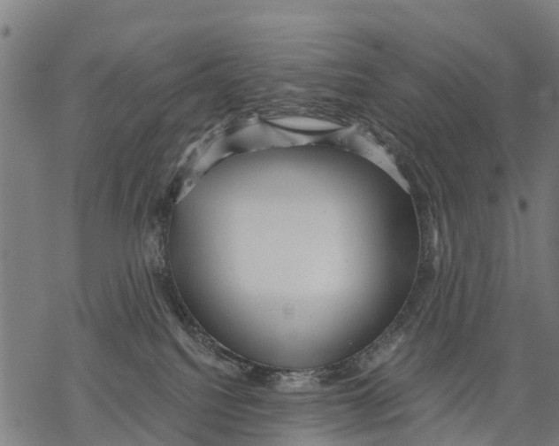 X0000068830088200605261626