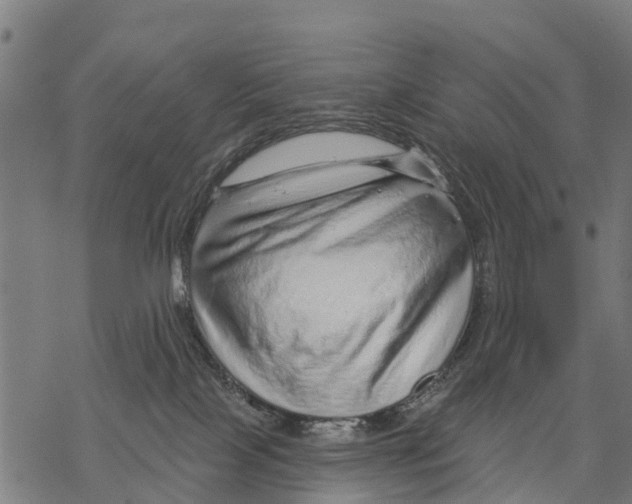 X0000068830089200605261626