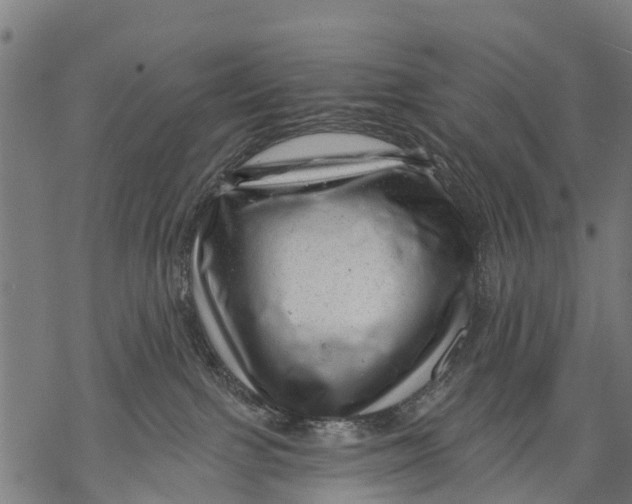 X0000068830091200605261626