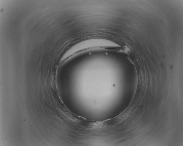 X0000068830092200605261626