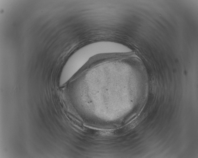 X0000068830093200605261626