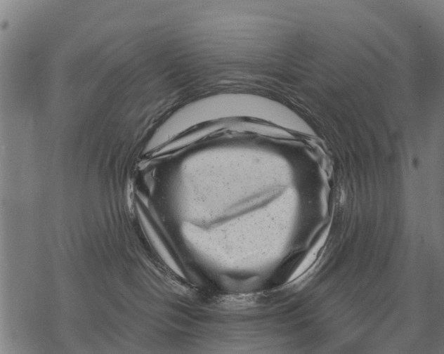 X0000068830094200605261626