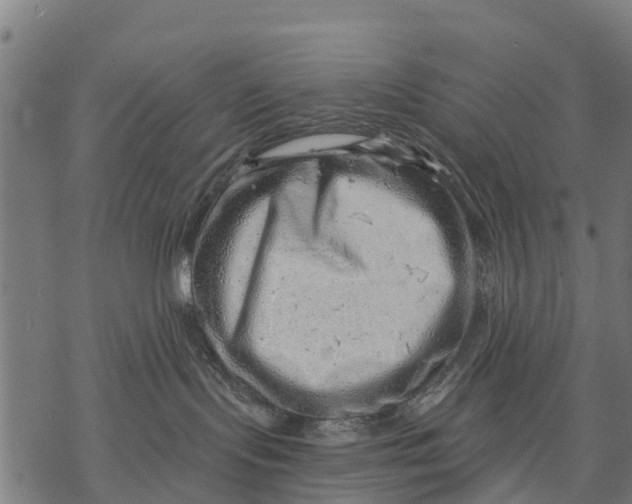 X0000068830095200605261626