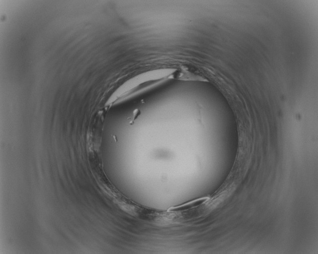 X0000068830096200605261626