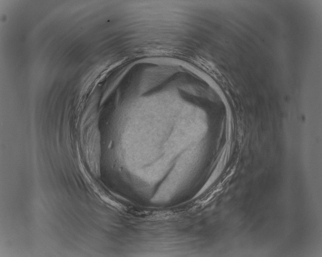 X0000068830097200605261625