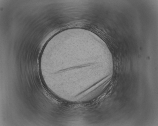 X0000068830100200605261625