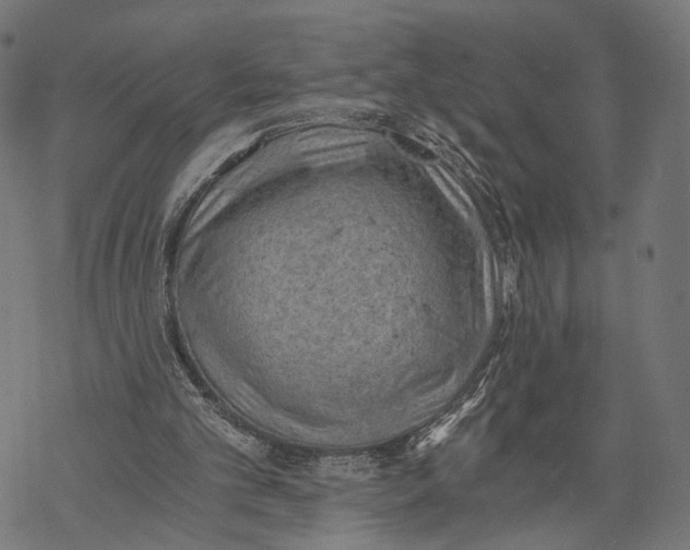 X0000068830101200605261625