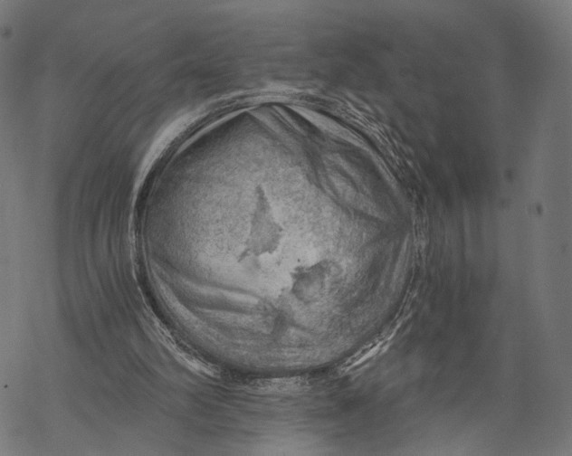 X0000068830102200605261625