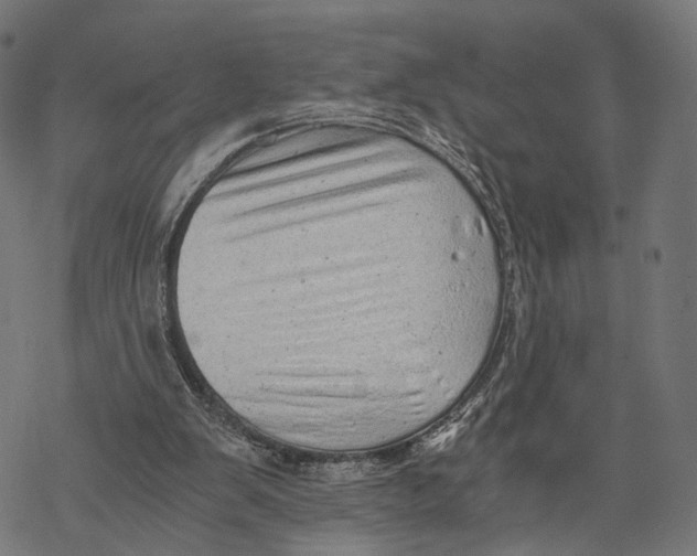 X0000068830103200605261625