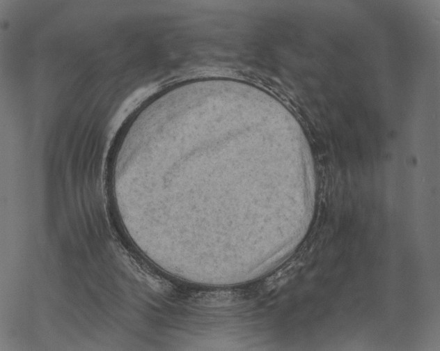 X0000068830104200605261625