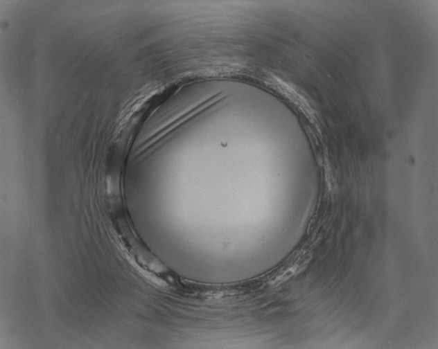 X0000068830105200605261625