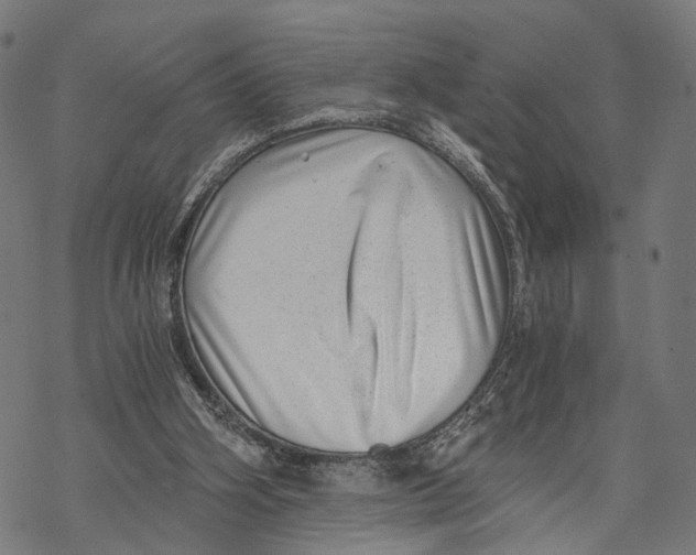 X0000068830106200605261625