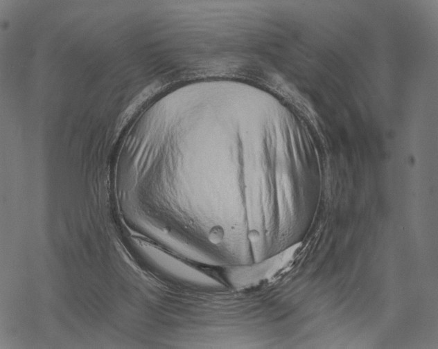 X0000068830107200605261625