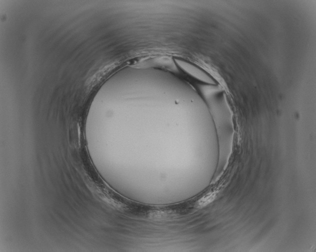 X0000068830109200605261625