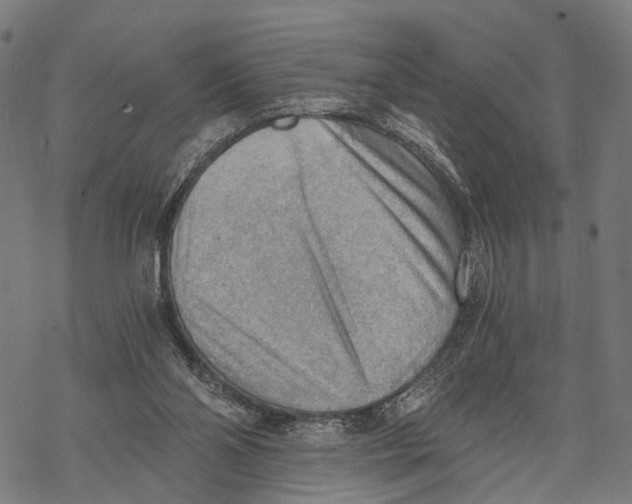 X0000068830110200605261625