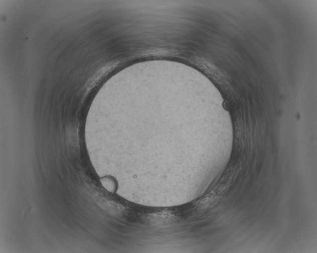 X0000068830112200605261625