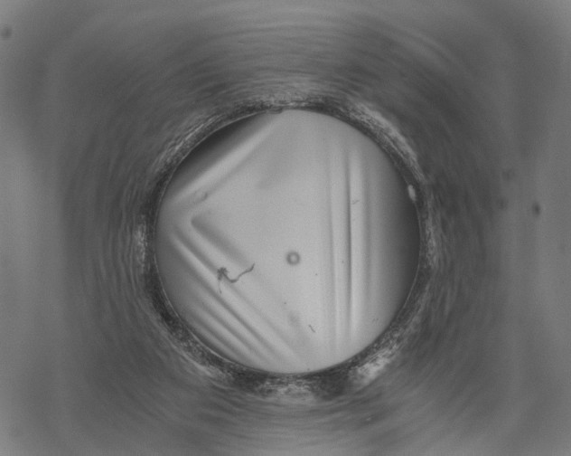 X0000068830113200605261625