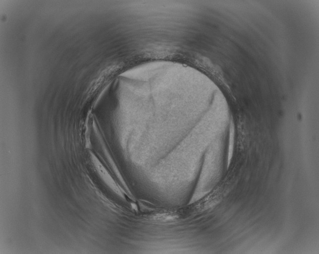 X0000068830114200605261625