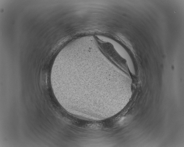 X0000068830115200605261625