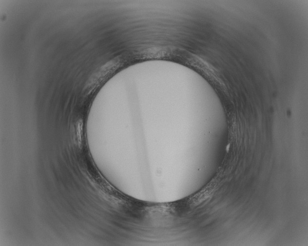 X0000068830118200605261625