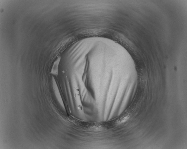 X0000068830119200605261625