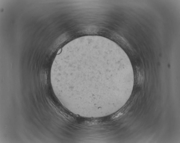 X0000068830120200605261625