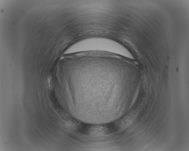 X0000068830123200605261625