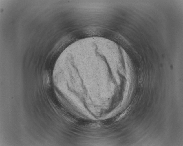 X0000068830124200605261625