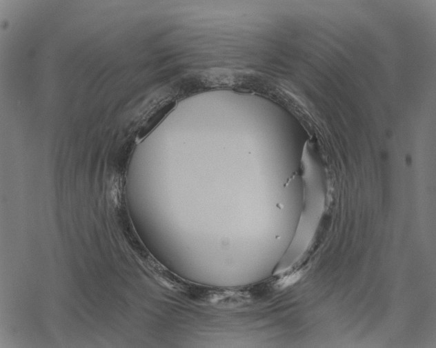 X0000068830125200605261625