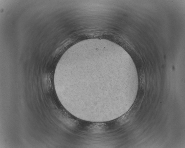 X0000068830128200605261625