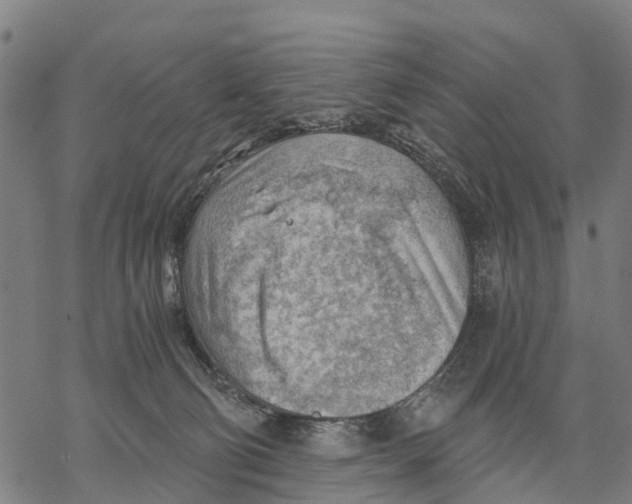 X0000068830130200605261625