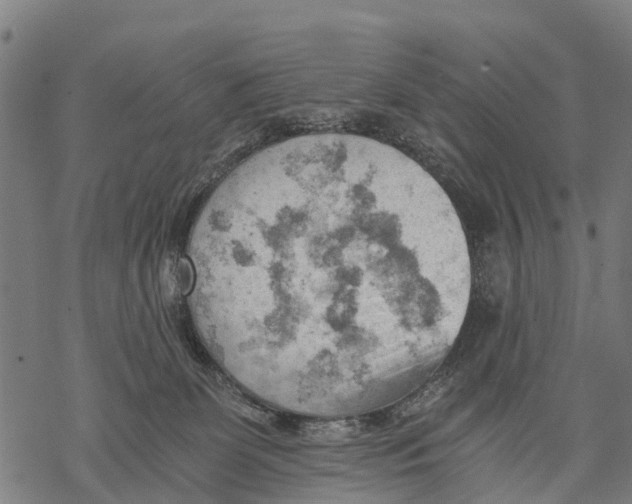 X0000068830131200605261625