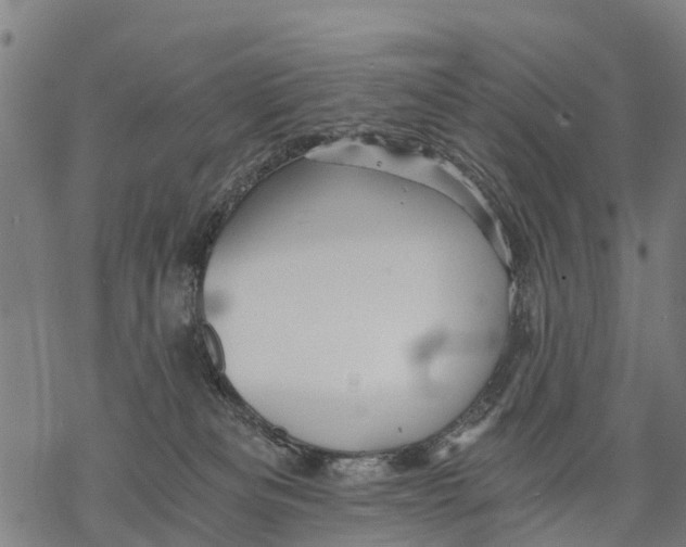 X0000068830133200605261625