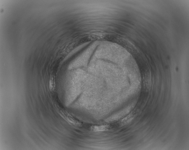 X0000068830134200605261625