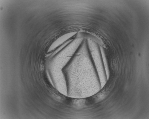 X0000068830135200605261625