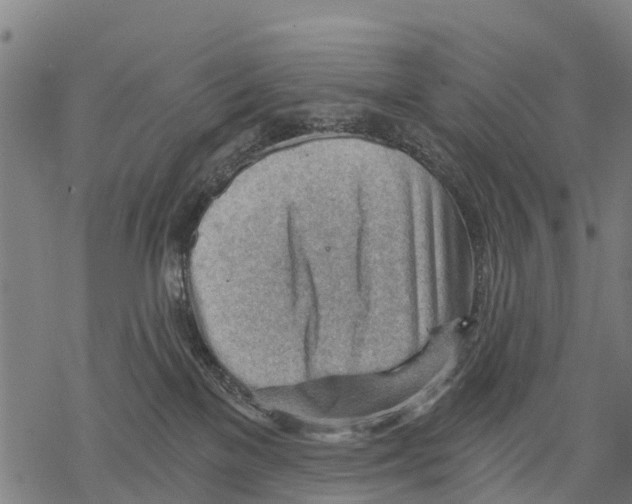 X0000068830137200605261625