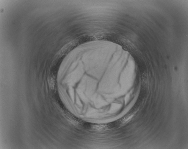 X0000068830139200605261625