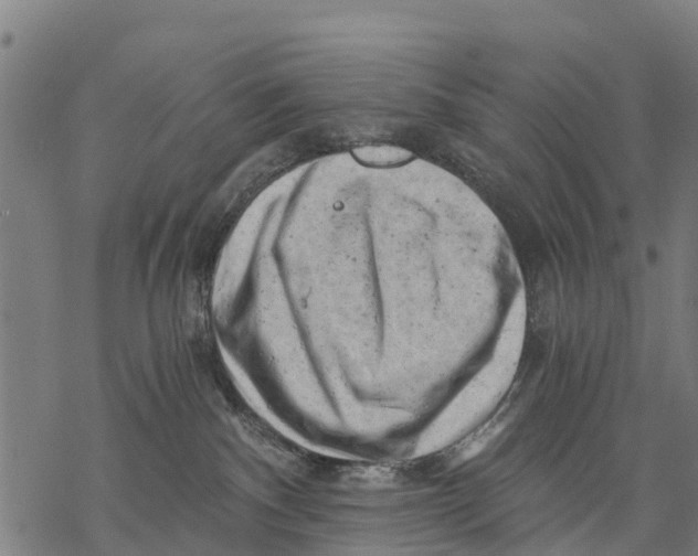 X0000068830140200605261625