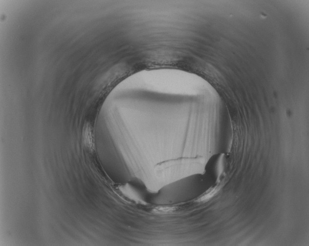 X0000068830143200605261625