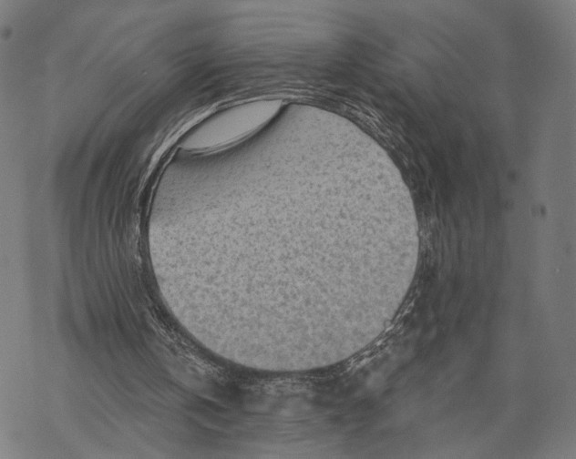 X0000068830146200605261624