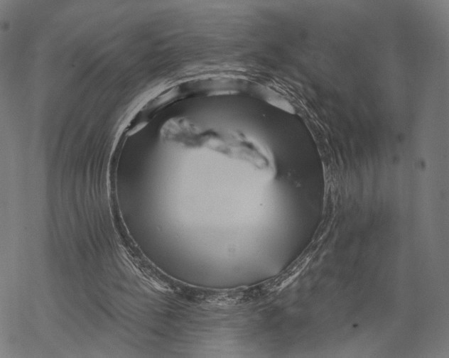 X0000068830148200605261624