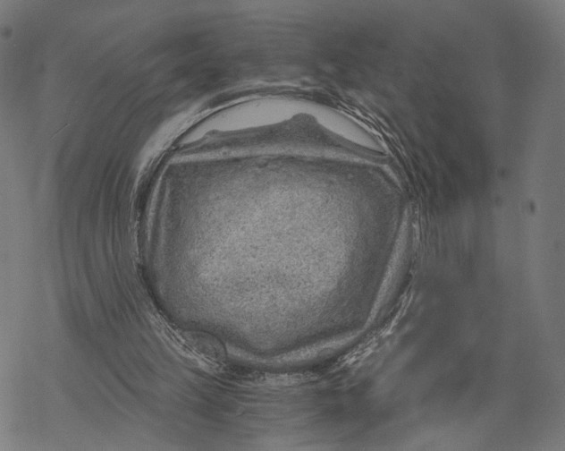 X0000068830149200605261624