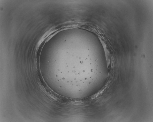 X0000068830150200605261624