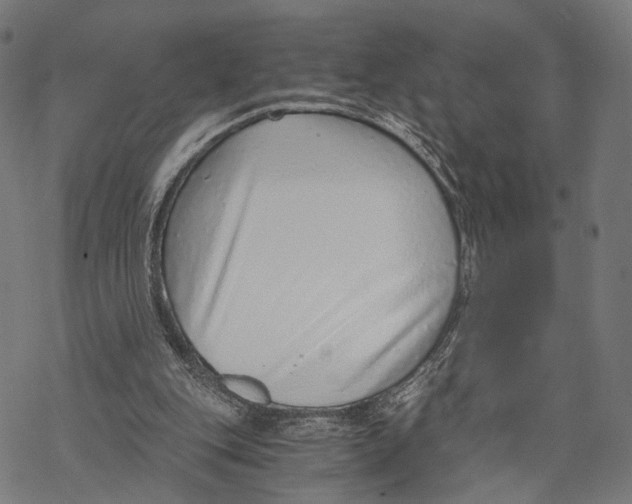 X0000068830151200605261624